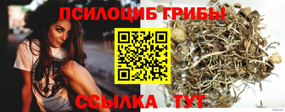 Галлюциногенные грибы MAGIC MUSHROOMS  Вход с VPN  Галлюциногенные грибы мухоморы  Сердобск 
